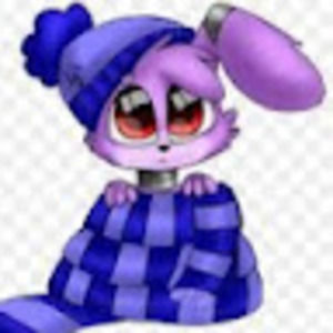 Meet your Posher, Bonnie
